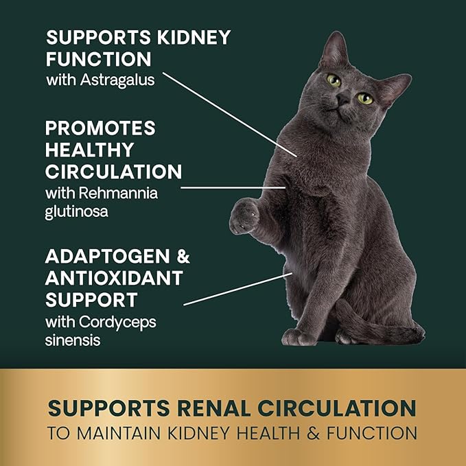VetriScience Kidney Health Chewable Tablets, Renal Essentials Supplement for Cats, Kidney Care and Support with Mushroom, Astragalus Root, Nettle Seed and Herbs, Chicken and Fish, 60 Count