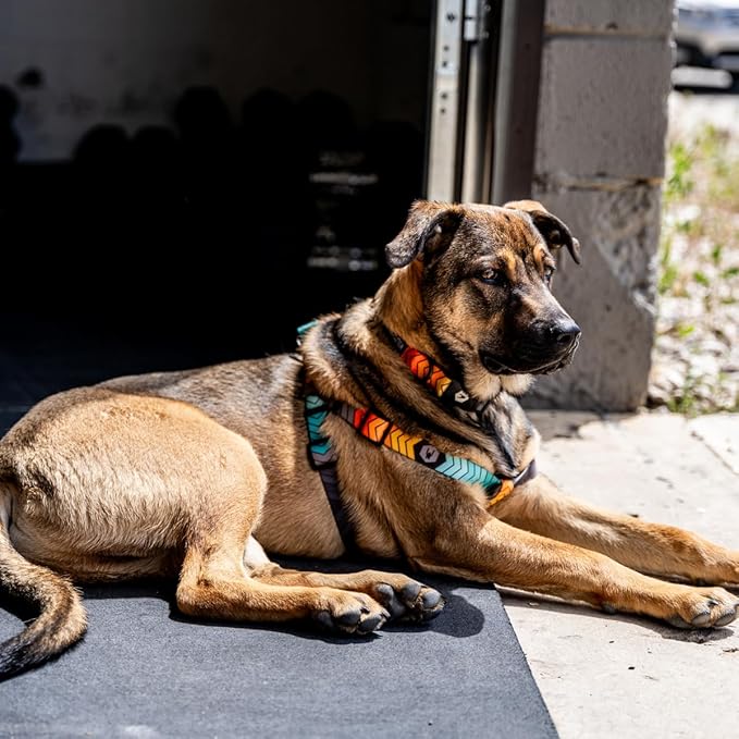 Wolfgang Heavy Duty Adjustable Dog Harness, Pull-Tested to Over 800 lbs for Walking & Training, ChevTech Print, Medium