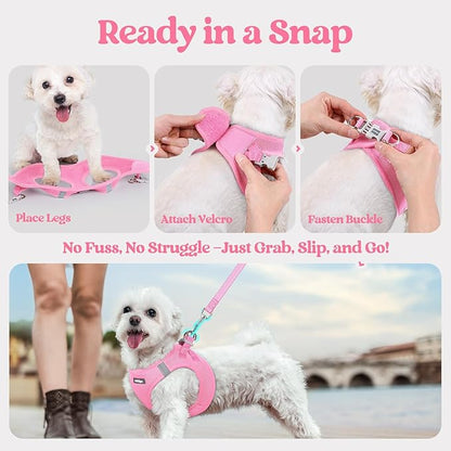 rabbitgoo Dog Harness Small Sized and Leash Set, Step in Soft Light Puppy Vest, Breathable Mesh Pet Harness, Reflective for Safe Easy Walking, Light Pink S