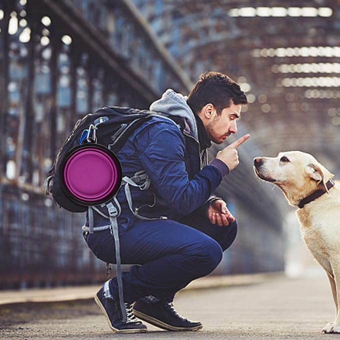 Large Collapsible Dog Bowls, 34oz Travel Water Food Bowls Portable Foldable Collapse Dishes with Carabiner Clip, 2 Pack (Purple+Red)