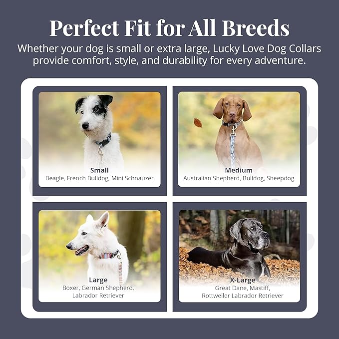 Lucky Love Dog Martingale Dog Collar & Leash - Adjustable, No-Slip, Durable, Comfortable, Soft Webbing, & Stylish Patterned Collar & Leash Set for Male and Female Dogs - Zuzu Combo, Small
