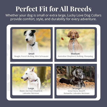 Lucky Love Dog Martingale Dog Collar & Leash - Adjustable, No-Slip, Durable, Comfortable, Soft Webbing, & Stylish Patterned Collar & Leash Set for Male and Female Dogs - Zuzu Combo, Small