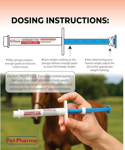 Ivermectin Paste 1.87% Only Use for Horses – Apple Flavor Oral Paste – 6.08g Syringe - Gel Dewormer for Horse - Safe for Equine of All Ages (1 - Pack)