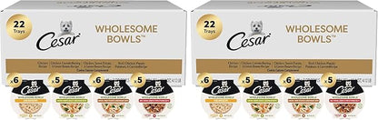 Cesar Wholesome Bowls Adult Wet Dog Food,Variety Pack,Wet Food for Dogs,3 Oz. Bowls,22 Count (Pack of 2)