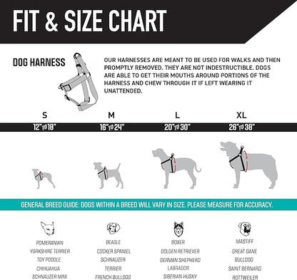 Wolfgang Heavy Duty Adjustable Dog Harness, Pull-Tested for Walking & Training, WesternSky Print, Large