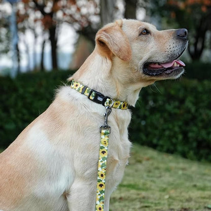 Dog Collar Leash Set, Floral Pattern, 5ft Matching Leash, Polyester Material, 4 for Small Medium Large Dogs.(M, Sunflower)