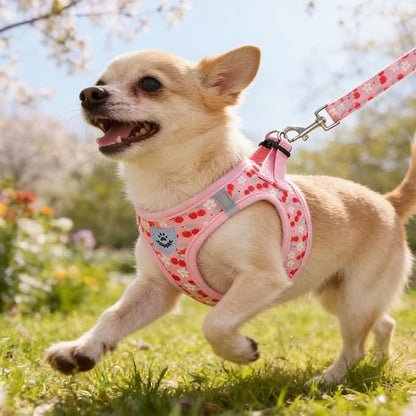 KOOLTAIL Dog Harness for Small Medium Dogs,Dog Harness and Leash Set, Step in No Pull Soft Mesh Padded Adjustable and Reflective Pet Vest Harness Puppy, Plaid Extra Harness for XS S Dogs,Pink Cherry,M