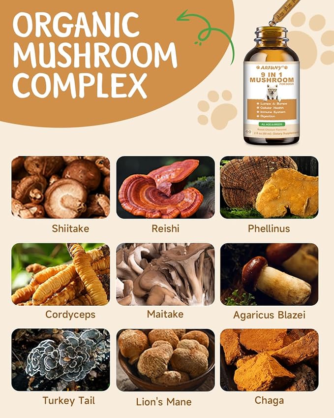 9 in 1 Mushroom Supplement for Dogs - Turkey Tail Mushroom for Dogs - Dog Lumps and Bumps Treatment - Digestive, Cellular, Immune Health Support - Reishi, Lions Mane, Shiitake - Roast Chicken Flavor