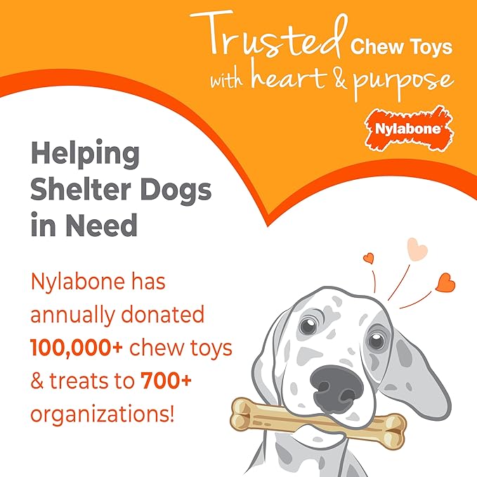 Nylabone Puppy Chew Teething Bone, Toys for Teething Puppies, Chicken Flavor, Medium, Up to 35 Ibs, 1 Count