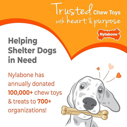 Nylabone Puppy Chew Key Ring Toy, Toys for Teething Puppies, Multi Color, Bacon Flavor, Small - Up to 25 lbs, 1 Count