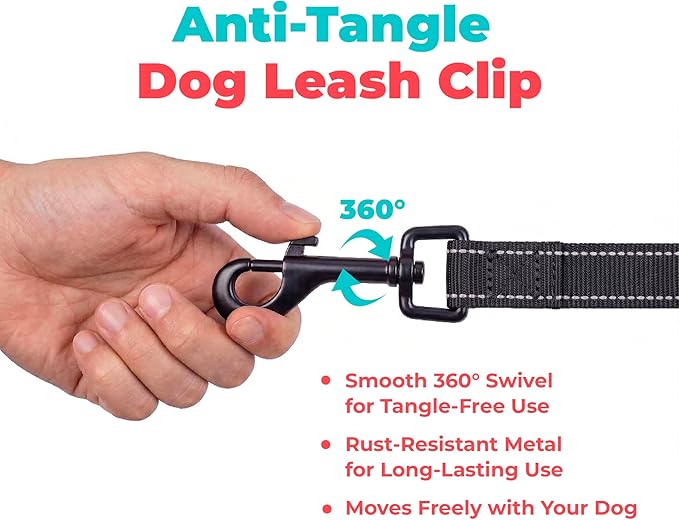 Best Pet Supplies Voyager Reflective Dog Leash or Collar with Neoprene Handle, for Small, Medium, and Large Breed Puppies, Cute and Heavy Duty for Walking, Running and Training - Black (Leash), L