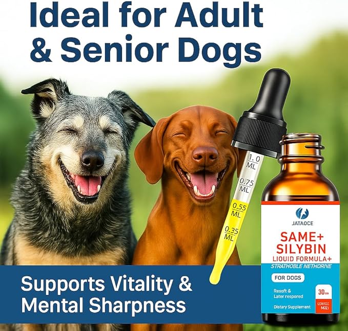 SAMEe for Dogs 500mg Liquid Drops with Silybin – Bacon Liver Flavored Liver Support Supplement for Dogs – S-Adenosyl Methionine & Milk Thistle Extract – 30ml (1oz)
