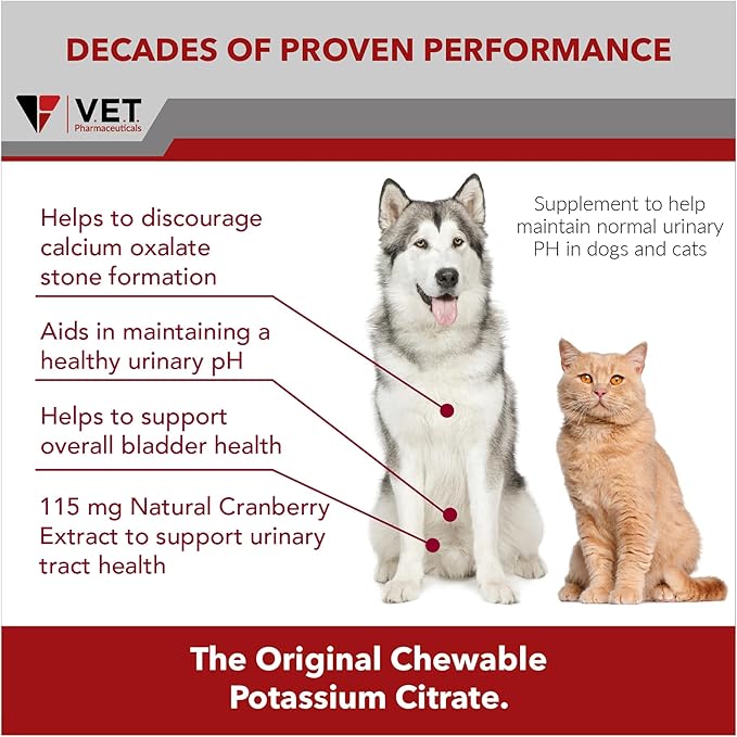 K-CIT-V Plus Cranberry 300 gm Granules for Dogs and Cats