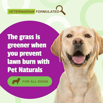 Pet Naturals Lawn Aid Soft Chews for Dogs, Urine Neutralizer, Prevent Lawn Burn and Maintain Green Grass, Bladder and Urinary Tract Support, Chicken Flavor, 60 Count