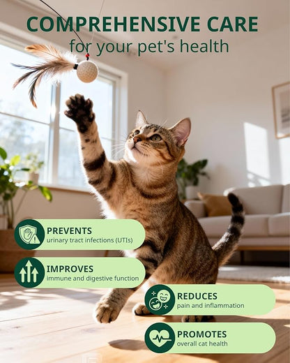 Feline Urinary Tract Health, Cat UTI Remedy, Cranberry & Natural Herbal Cat Supplement for Urinary and Kidney Health, Promotes Immunity, Chicken Flavor, 60ml/2fl.oz