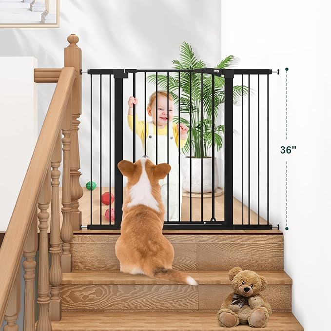 keny 36" Extra Tall Baby Gate for Doorways, Fits Openings 29.7" to 46" Wide, Auto Close Pressured Mounted Dog Gate for Stairs, No Drilling Easy Install Pet Gate, Black