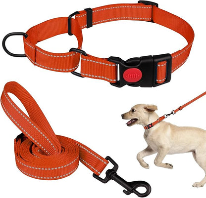 Martingale Dog Collar and Leash Set Martingale Collars for Dogs Reflective Martingale Collar for Small Medium Large Dogs(Orange&M)