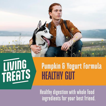 Whole Life Dog Living Treats for Dogs – Human Grade Probiotics for Digestive & Gut Health, Canine Gas, Diarrhea, Vomit & Constipation Relief - Pumpkin, 12 oz (Pack of 1)
