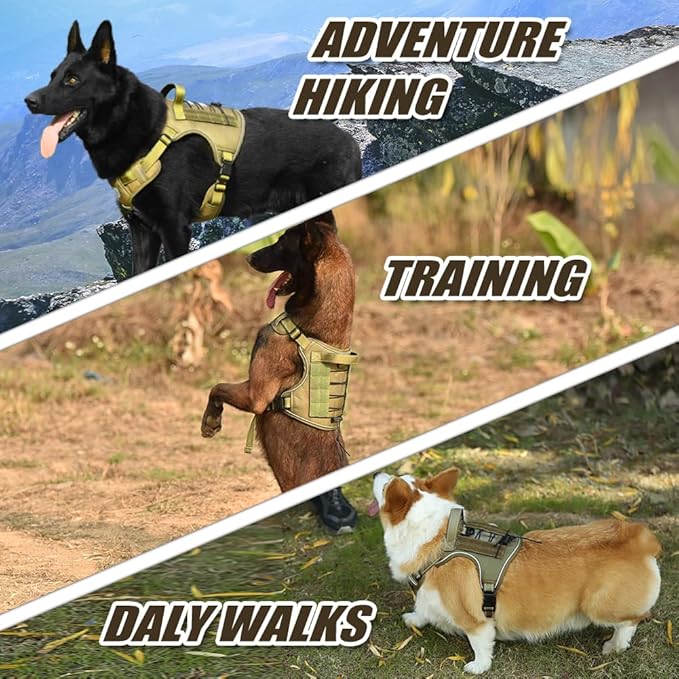 CBBPET Tactical Dog Harness for Small Medium Large Dogs No Pull Adjustable Harness Training Easy Control Pet Vest,Reflective Working Training (M(Neck:17-26,Chest:24-36))