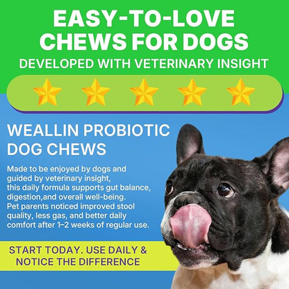 200 PCS Probiotics for Dogs - Dog Probiotic Chews for Gut Health, Digestive Support & Itchy Skin Relief Pet Diarrhea Gas Treatment - Probiotics, Digestive Enzymes, Prebiotics, Pumpkin