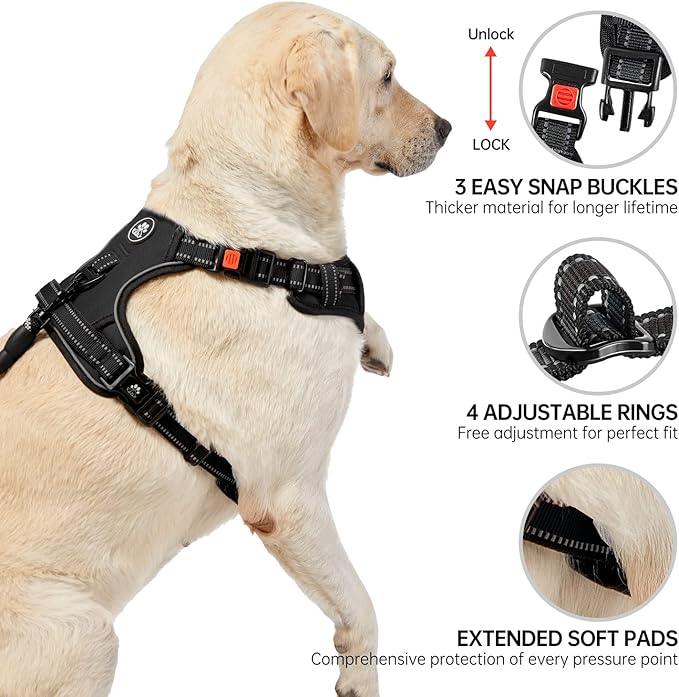 NESTROAD No Pull Dog Harness,Adjustable Oxford Dog Vest Harness with Leash,Reflective No-Choke Pet Harness with Easy Control Soft Handle for Small Dogs(X-Small,Black)