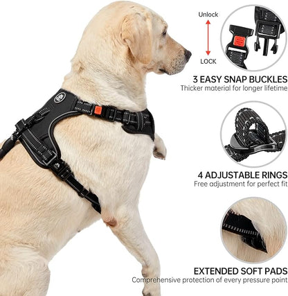 NESTROAD No Pull Dog Harness,Adjustable Oxford Dog Vest Harness with Leash,Reflective No-Choke Pet Harness with Easy Control Soft Handle for Small Dogs(X-Small,Black)