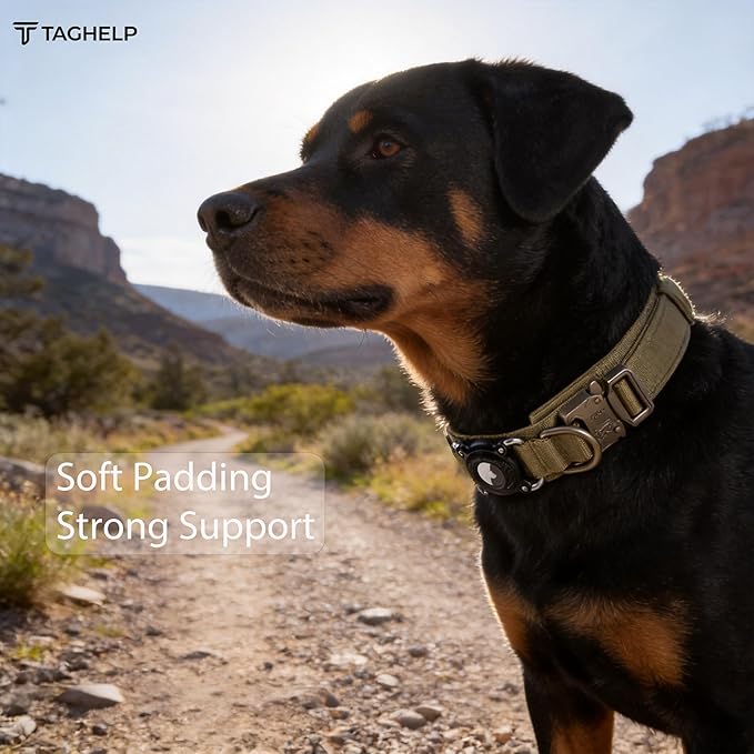 Personalized Tactical Dog Collar with Waterproof airtag Holder & Name Phone Number, Heavy Duty Nylon Military Dog Collar with Strong Metal Buckle for Medium and Large Dogs(Khaki,M)