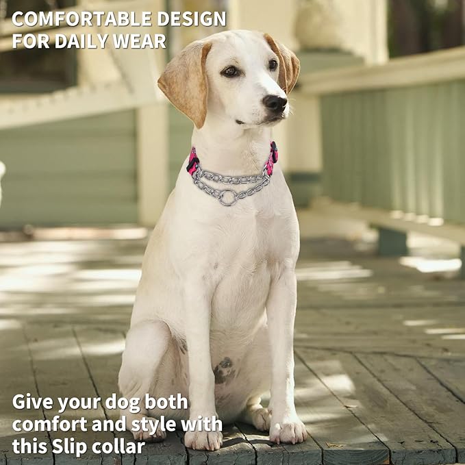 Martingale Dog Collar with Stainless Steel Chain - Limited Chain Cinch Training Collar for No Pull Training Dog - Flower Multicolor Cute Patterns - Premium No Slip Collar (HA12NO11, M)