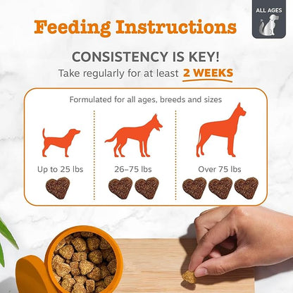 Zesty Paws Vet Strength Allergy Immune Bites - Dog Allergy Chews, Dog Probiotics for Itchy Skin and Ears, Smoked Cheese, 90ct