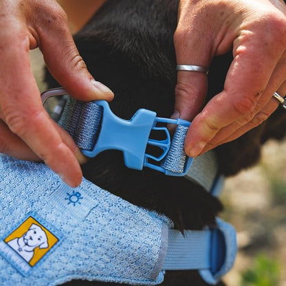Ruffwear, Front Range Flex Dog Collar, Soft Engineered Knit for Everyday Walks, Lightweight Adjustable with Aluminum V-Ring, Integrated ID Tag Silencer, Quick Release Buckle, Basalt Gray, 9"-11"