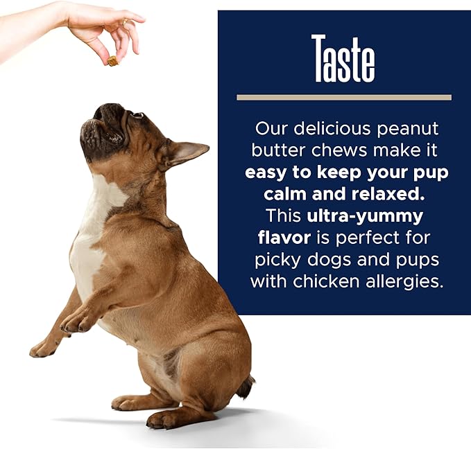 Healthy Pup Calming Chews for Dogs with Melatonin - 60 Delicious Soft Treats for Dog Anxiety Relief for Large and Small Dogs - Peanut Butter Flavor - Includes Chamomile, Thiamine, L-Tryptophan