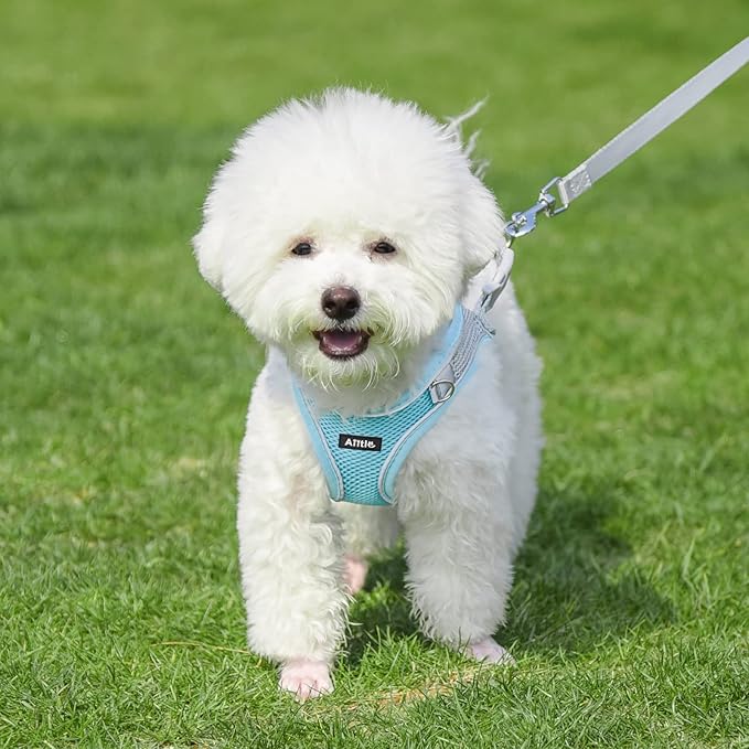 AIITLE No Pull Dog Harness and Leash Set, Step in Adjustable Dog Harness with Padded Vest for All Weather, Dog Leash with Soft Padded Handle, Easy to Put on Small and Medium Dogs Blue S