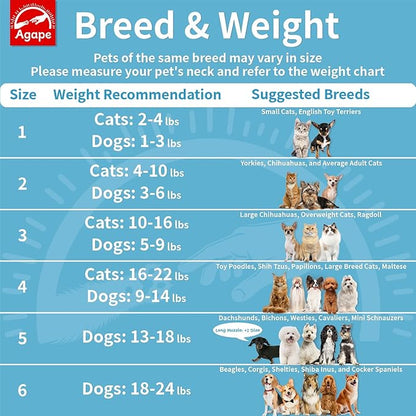 Agape Soft Cone for Cats & Small Dogs, Comfy Pet Cone to Stop Licking, Adjustable Cat E Collar Alternative After Surgery, Protective Elizabethan Collar for Pup & Kitty, Water Repellent Recovery Cone