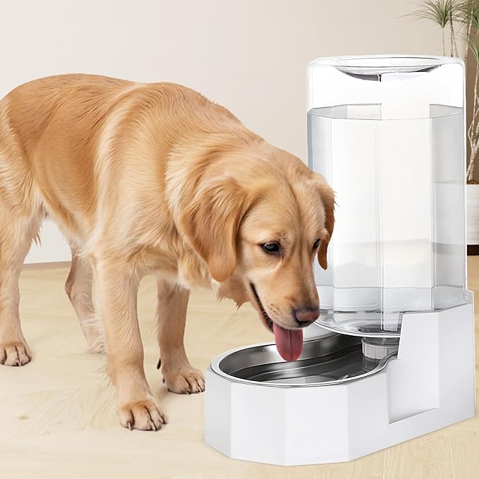 Sfozstra Automatic Pet Water Dispenser: 8L White Gravity Stainless Steel Water Bowl - with Specialized Brush - Angular Water Feeder for Senior Pet Dogs with Neck Pain Relief in Living Room Bedroom