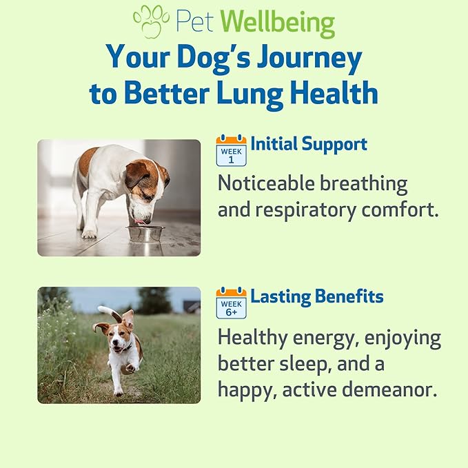 Pet Wellbeing Lung Gold for Dogs - Respiratory Support for Canine Lungs, Healthy Immune Defenses, Lower Respiratory Tract - NASC Certified & Vet-Formulated - 2 oz Liquid