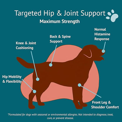 Hip & Joint Dog Chews – Glucosamine, Chondroitin, MSM, Turmeric & Collagen for Joint Health & Mobility – High-Potency Supplement for Dogs of All Breeds & Sizes – Active Lifestyle Support