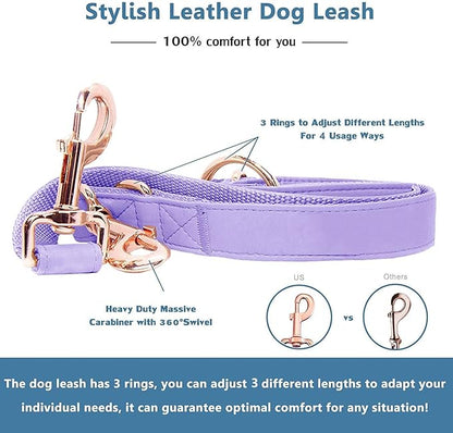 Soft Leather Dog Collar and Leash (6.6') Set - Stylish Rose Gold Heavy Duty Metal Buckle, 4 Adjustable Lengths Leash for Small Medium Large Dogs - Comfortable & Easy to Clean (XS, Light Purple)