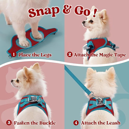 rabbitgoo Dog Harness Small Sized and Leash Set, Step-in Breathable Pet Harness, Soft Walking Reflective Puppy Vest for Small Dogs, Red & Teal, S