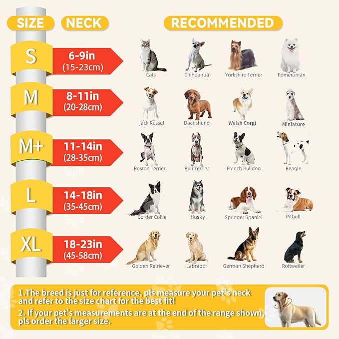 Upgraded Inflatable Dog Cone Collar with Transparent Anti-Licking Shield, Adjustable Elizabethan Collar for Medium Large Dogs, 2-in-1 Design with Detachable Shield and Soft Padding (XL, Grapefruit)