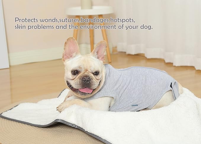 Dog Surgery Recovery Suit - After Spay, Abdominal Wounds Post Surgical Recovery, Anti Licking Breathable Dog Onesies for Small, Medium & Large Pet, Alternative Bandages Cone E-Collar