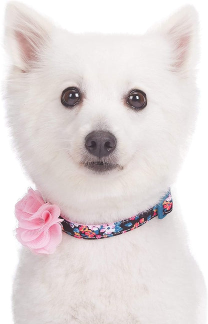 Blueberry Pet Made Well Elegant Floral Print Adjustable Dog Collar in Sleek Black with Pink Artificial Silk Flower, Small, Neck 12"-16"