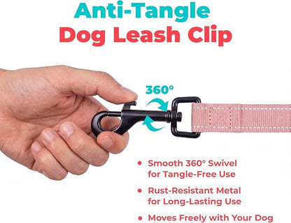 Best Pet Supplies Voyager Reflective Dog Leash or Collar with Neoprene Handle, for Small, Medium, and Large Breed Puppies, Cute and Heavy Duty for Walking, Running and Training - Soft Pink (Leash), M