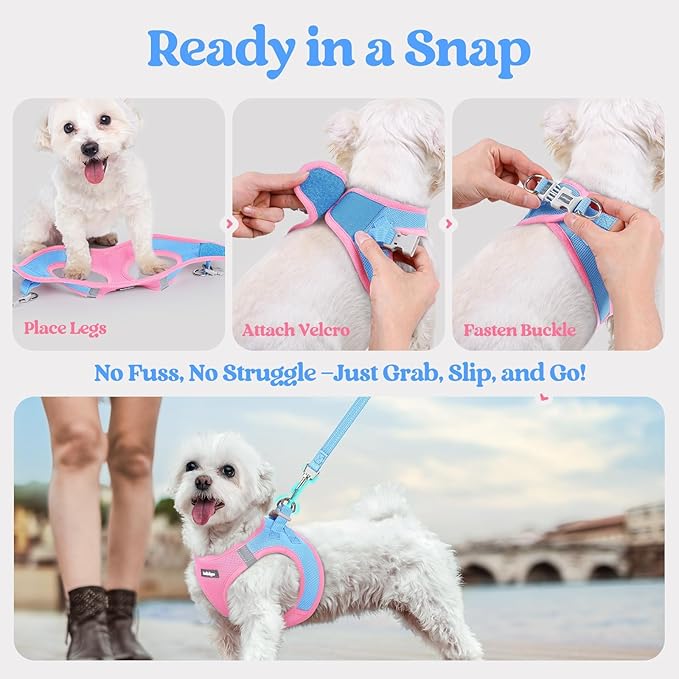 rabbitgoo Dog Harness Small Sized and Leash Set, Step in Soft Light Puppy Vest, Breathable Mesh Pet Harness, Reflective for Safe Easy Walking, Blue & Light Pink XXXS