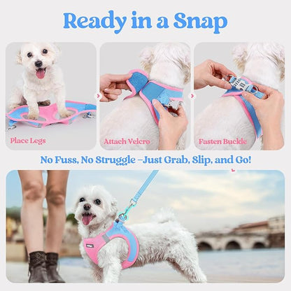 rabbitgoo Dog Harness Small Sized and Leash Set, Step in Soft Light Puppy Vest, Breathable Mesh Pet Harness, Reflective for Safe Easy Walking, Blue & Light Pink XXXS