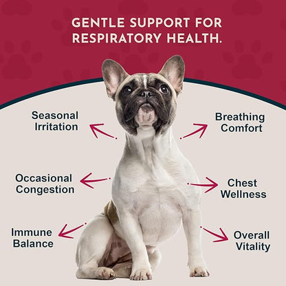 Animal Essentials Breathe EZ Herbal Supplement for Dogs & Cats, 2 fl oz - Supports Clear, Healthy Respiration-Breathing