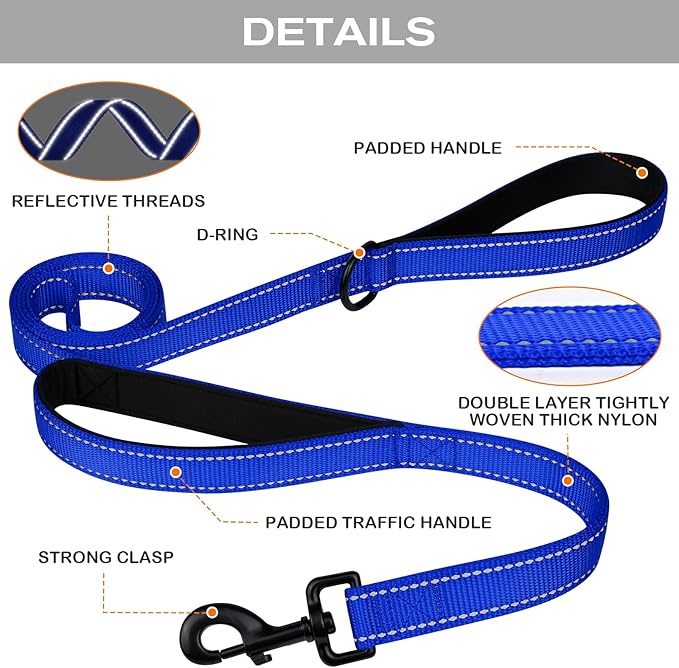 Joytale Dog Leash Heavy Duty for Large Dogs that Pull, Double Handle for Traffic Control, Double-Sided Reflective Leashes for Large Medium Dogs Night Safety, 5FT, Royal Blue