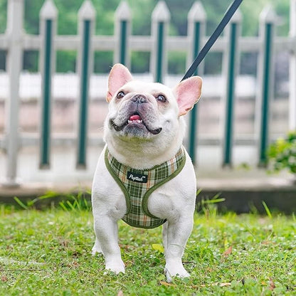 PUPTECK Soft Mesh Dog Harness and Leash Set Pet Puppy Cat Comfort Padded Vest No Pull Harnesses, Olive Green, M