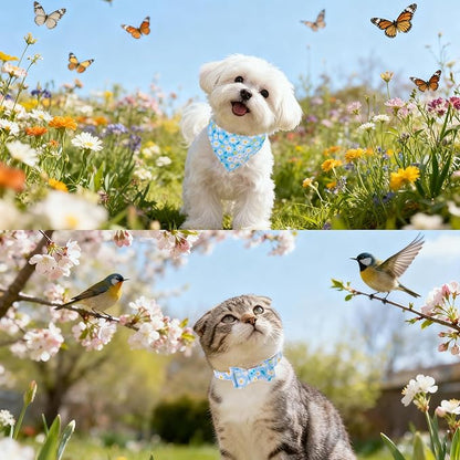 EXPAWLORER Small Collar and Leash Set - Embroidery Pawprints with Bow Tie and Bandana Collar with Bell, Soft Tangle Free Leash for Dogs Cats Outdoor Walking, Holiday Ideal Gift Blue Daisy S