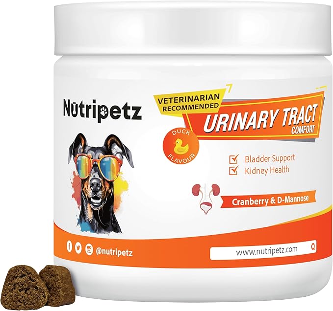 Urinary Comfort Chews for Dogs - Natural Cranberry & Herbal Blend for Kidney, Bladder & UT Health, 120 Soft Chews