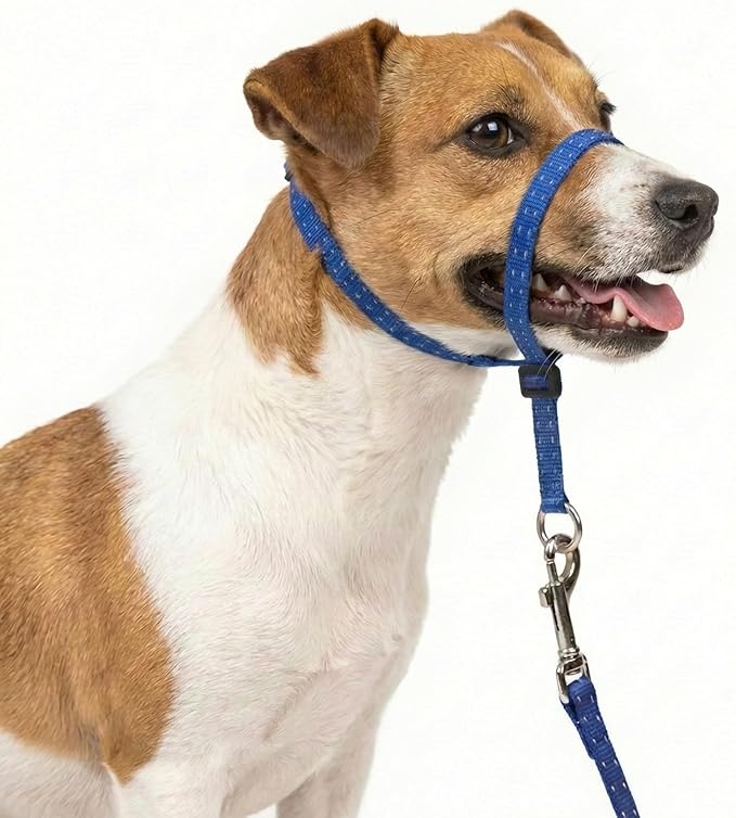 Headcollar for Dogs, Extra Soft Padded, Reflective, No Pull Dog Collar, Gentle Leader for Dogs with Durable Nylon Leash, Padded Handle - Navy Blue (Small)